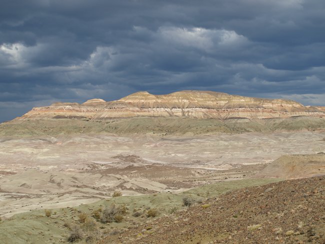 ../../Pictures/231209/001 versteinerter Wald.JPG